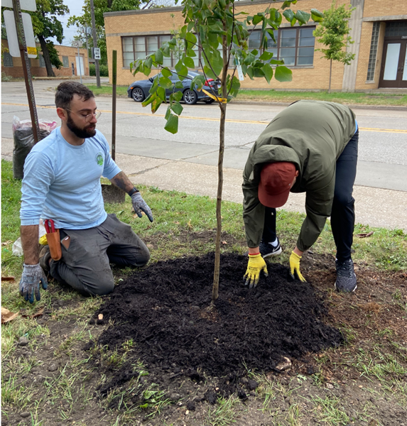 Mulching_Image