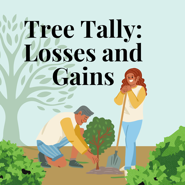 TreeTallyLossesGains